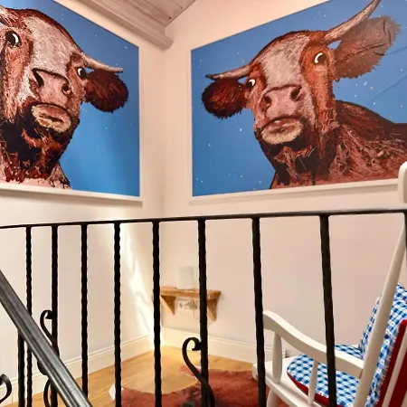 Apartament - Berge Und Bilder Og *